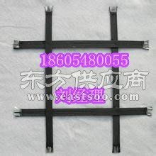 軟基處理專用鋼塑格柵 廠家歡迎您！